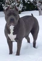 Profilový obrázek uživatele