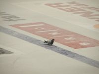 Profilový obrázek uživatele