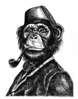 Profilový obrázek uživatele