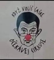 Profilový obrázek uživatele