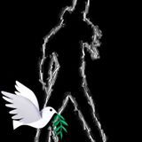 Profilový obrázek uživatele